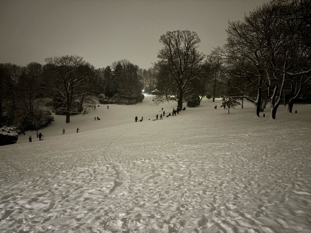 Kinder und Erwachsene beim Rodeln im Park