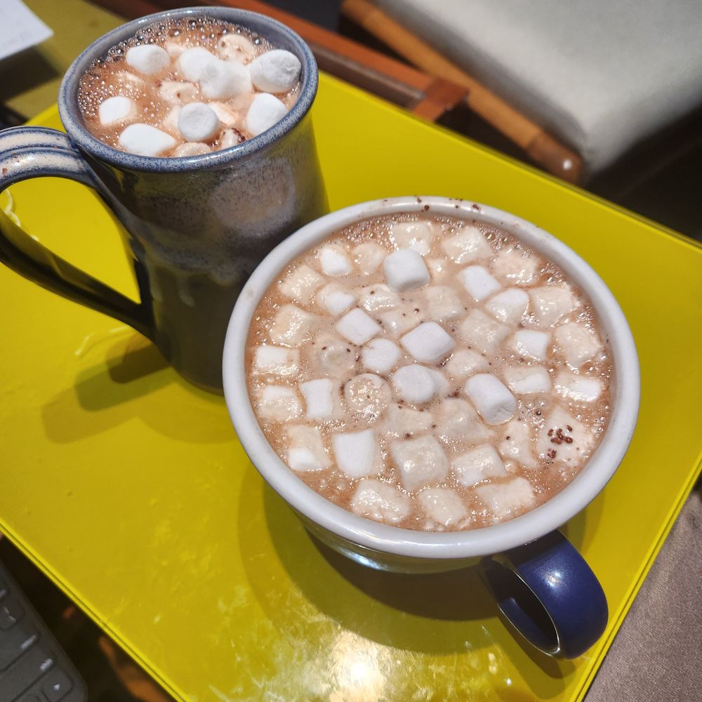 Two cups of hot cocoa, one is much wider at the top and both are filled with mini marshmallows