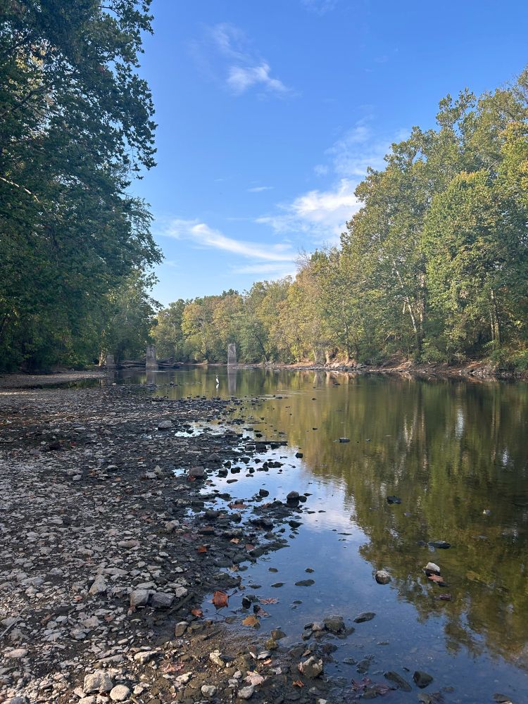 A creek runs through trees, with a rocky creekbed in front. 
