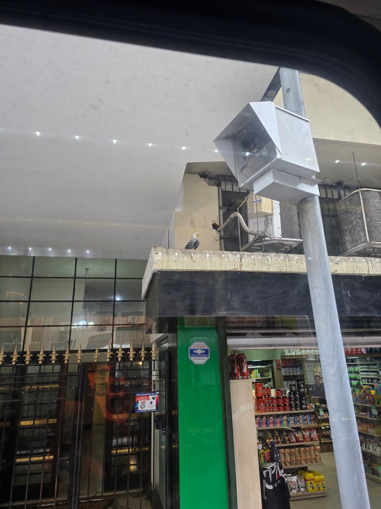 Foto da faixada de um prédio, mais ao fundo, se vê uma figura de pássaro 