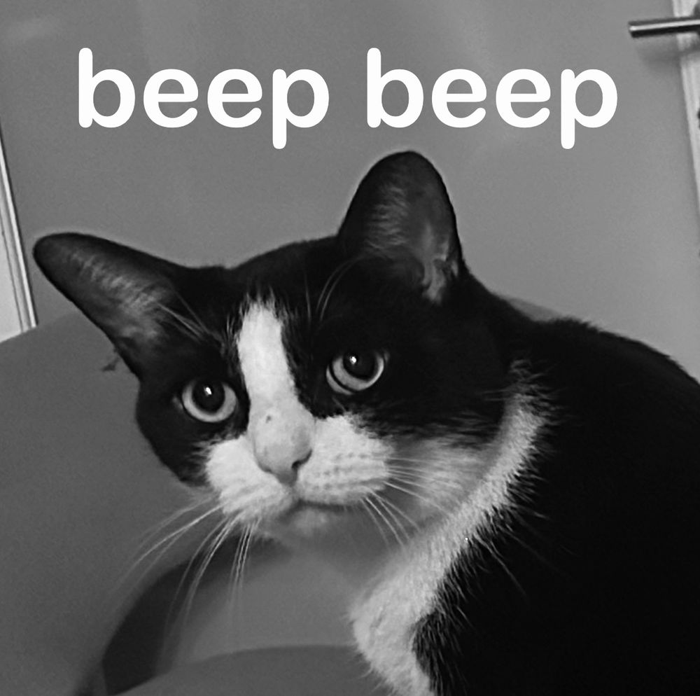 Black and white photo of a cat with the text "beep boop" over its head 
