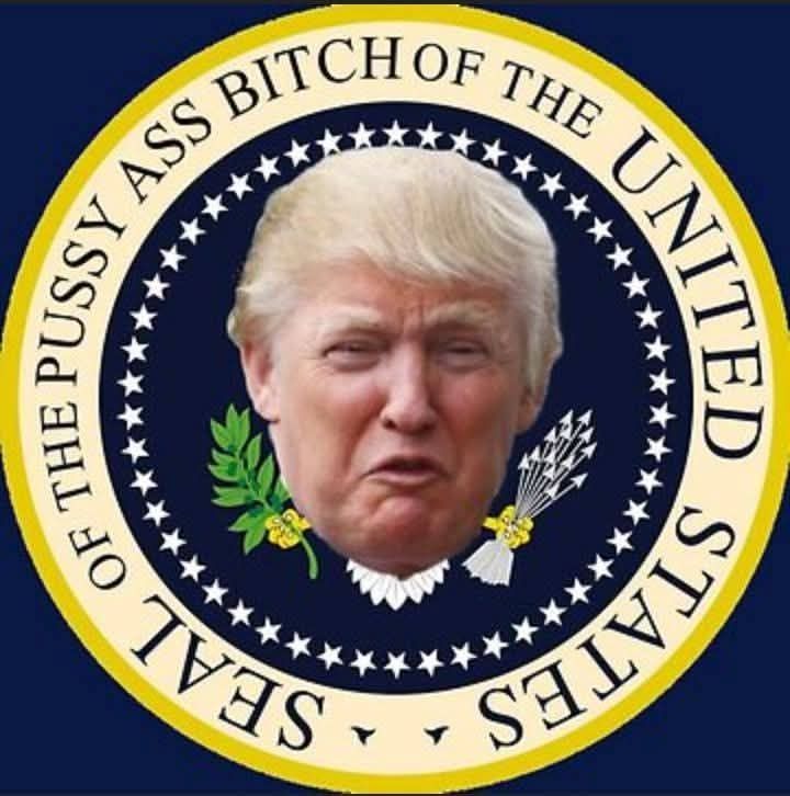 A picture of Donald Trump making a scrunched up face. His face is transposed over the presidential seal and the text reads "Seal of the Pussy Ass Bitch of the United States 