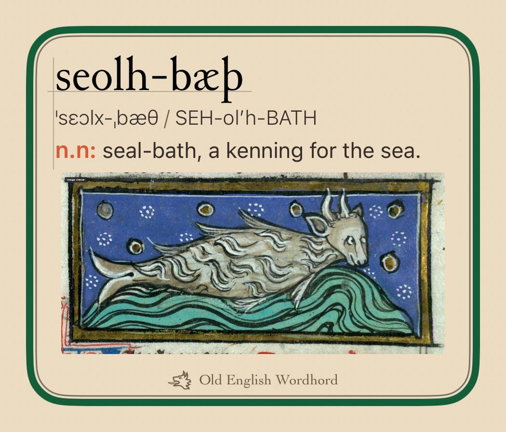 seolh-bæþ. neuter noun. seal-bath, a kenning for the sea.. Medieval manuscript image of a swimming hairy fish-creature with the head of a calf.. Old English Wordhord