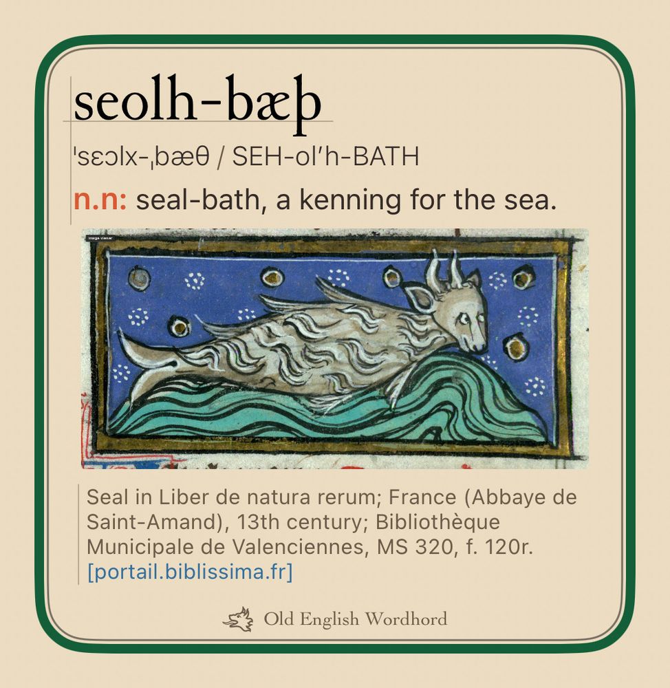 seolh-bæþ. neuter noun. seal-bath, a kenning for the sea. Medieval manuscript image of a swimming hairy fish-creature with the head of a calf. Seal in Liber de natura rerum; France (Abbaye de Saint-Amand), 13th century; Bibliothèque Municipale de Valenciennes, MS 320, f. 120r. portail.biblissima.fr. Old English Wordhord