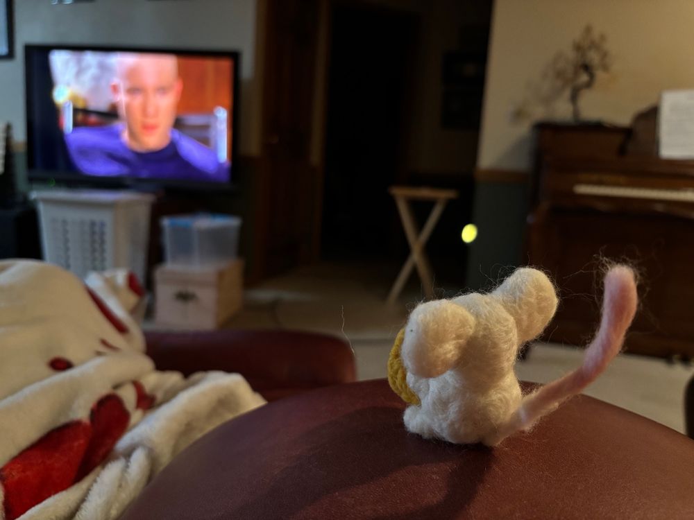 Needle felt mouse watching Smallville