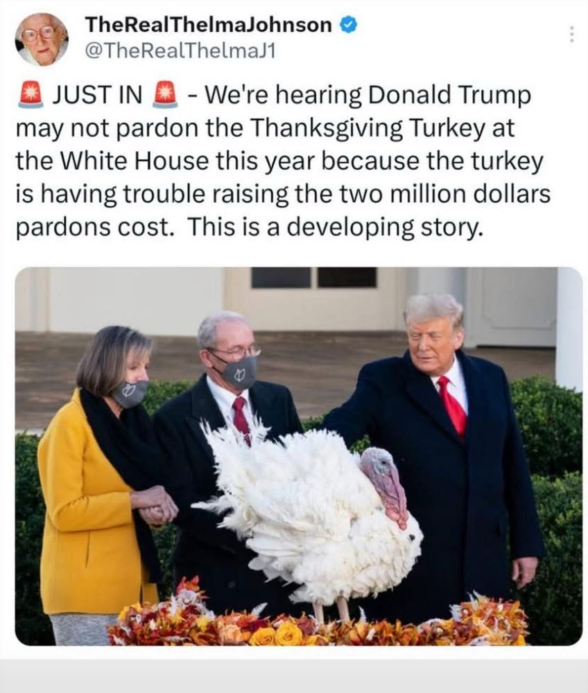Just in – we’re hearing Donald Trump may not pardon the Thanksgiving turkey at the White House this year because the turkey is having trouble raising the $2 million pardons cost. This is a developing story.
Picture of Donald Trump pardoning a white turkey at the White House from 2020.