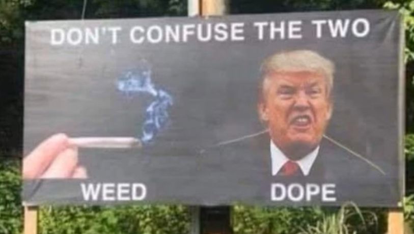 A billboard that says “don’t confuse the two” with pictures below it, one of a marijuana joint that says “weed“ and the other, a picture of Donald Trump, that says “dope“