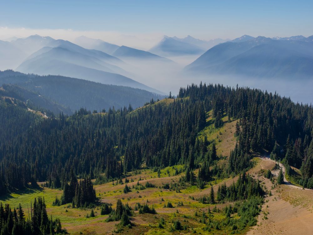 Hurricane Ridge
