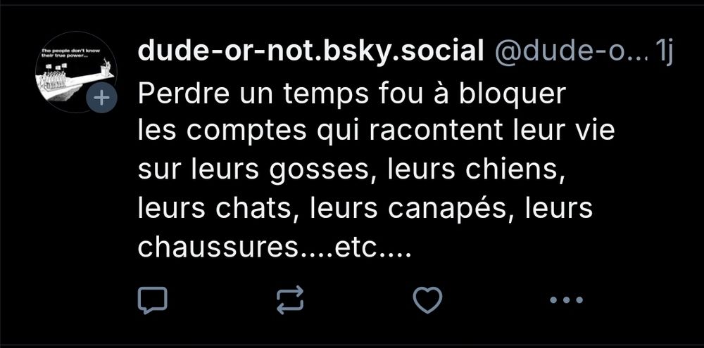 Blousque de dude-or-not:
"perdre un temps fou à bloquer les comptes qui racontent leur vie sur leurs gosses, leurs chiens, leurs chats, leurs canapés, leurs chaussures... Etc..." 