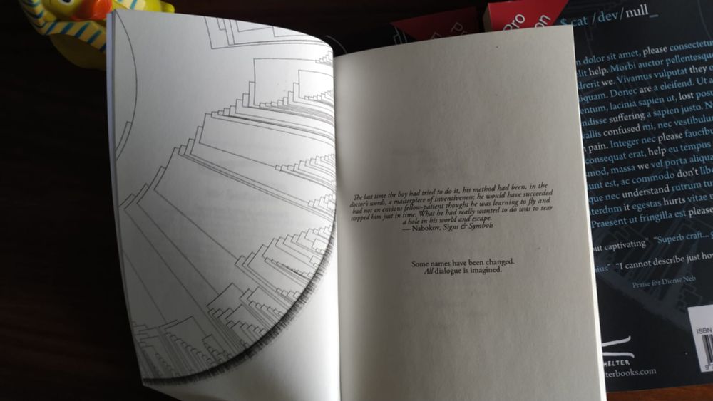 Interior page of novel "null" showing the internal illustrations and epigraph - a quotation from Nabakov's Signs & Symbols, below which are warnings that "Some names have been changed, all dialogue is imagined". The word "all" is italicised. There is also a yellow rubber duck in the photo frame.