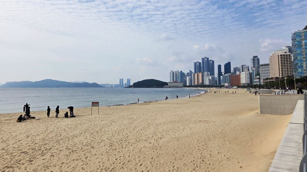 A beach with calm waters and skyscrapers
