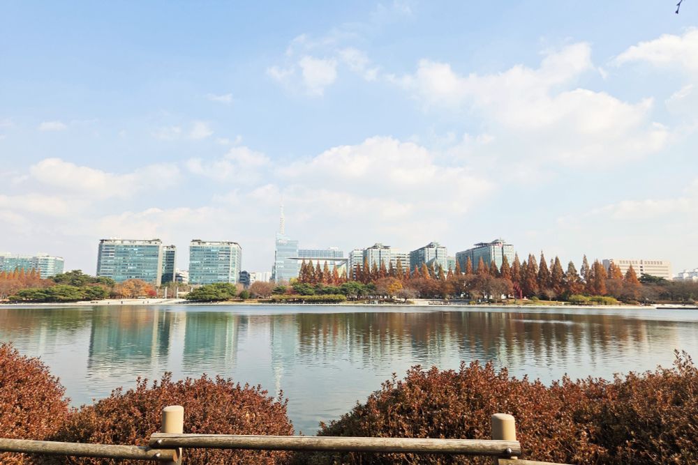 Umber foliage against skyscrapers reflected in a lake