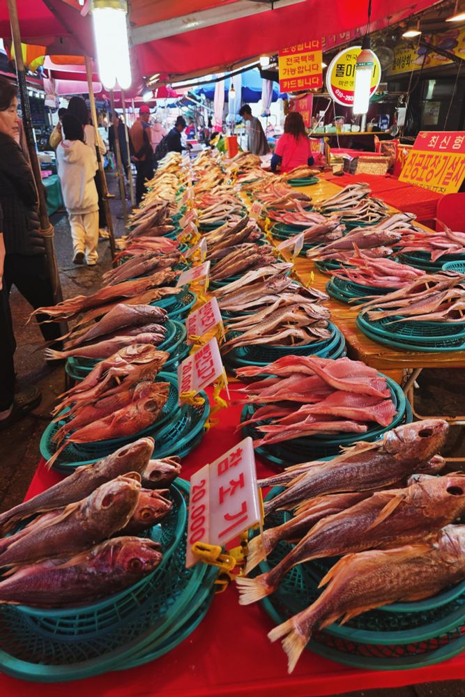 A dried fish stall under a red awning, rows of a wide variety of fish neatly stacked in teal mesh trays