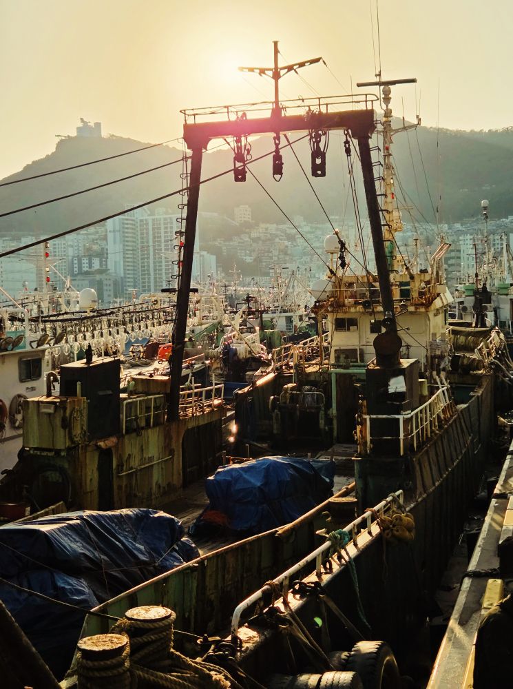 Commercial fishing boats with the sun setting behind a mountain in tje background 