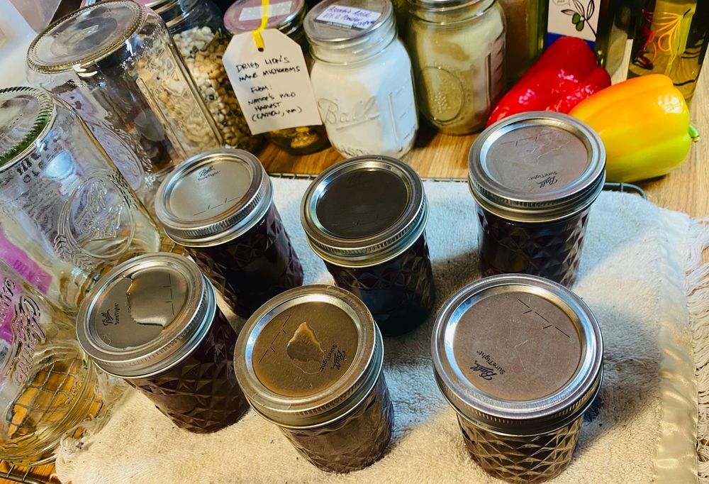 6 freshly canned half pint jars of Concord grape jam sitting on a towel on a kitchen counter 