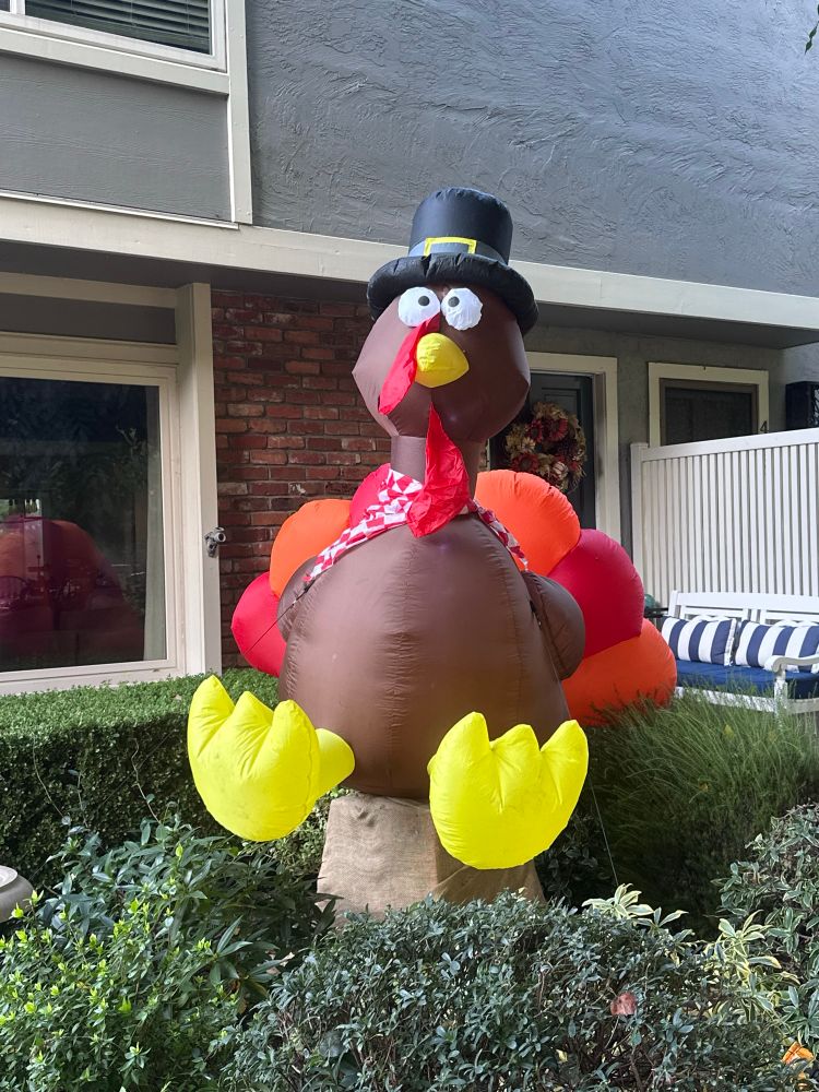 Inflatable turkey perched in a garden 