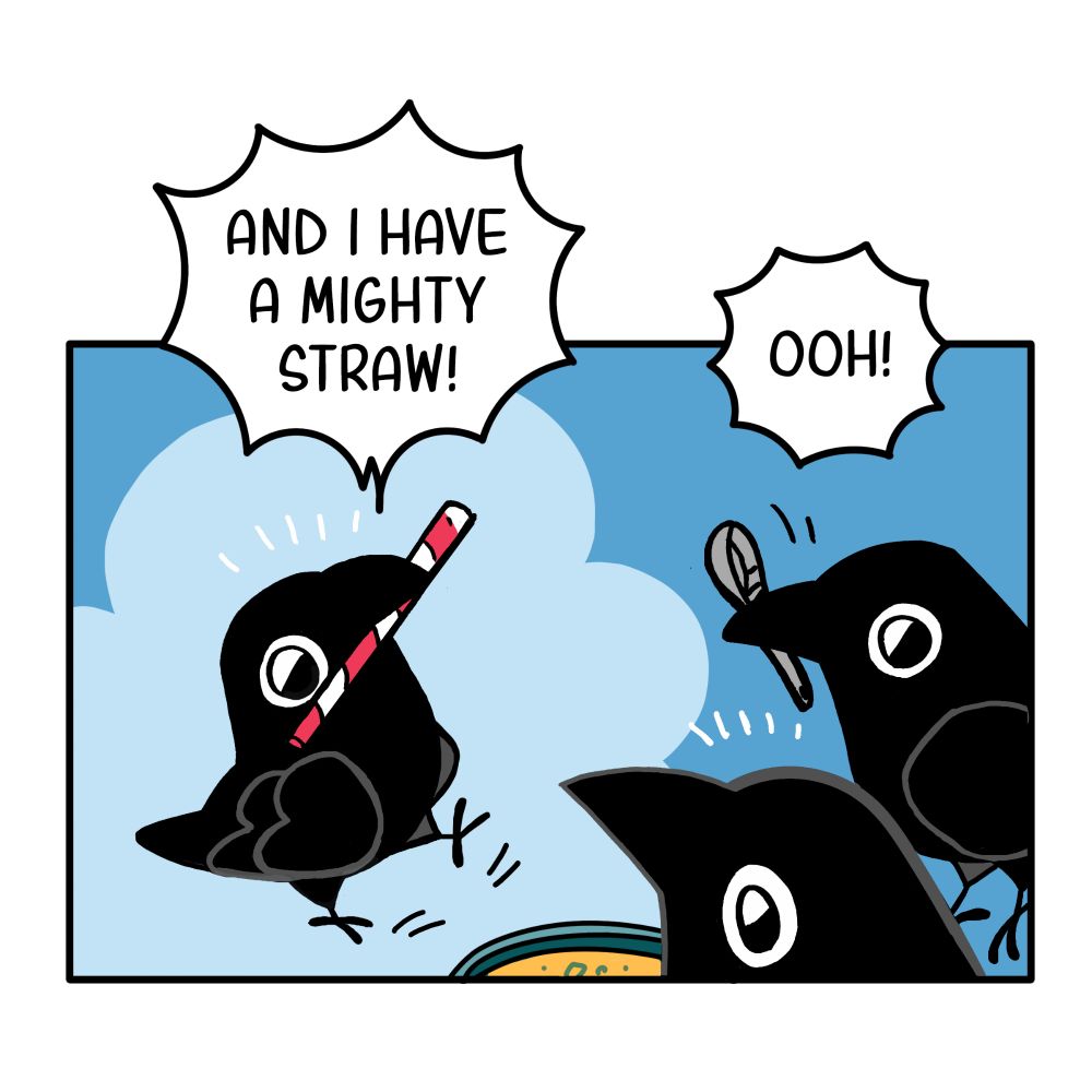 Another crow runs to the other two. He found a straw!