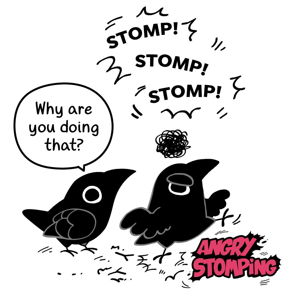 Part 1 of a 3 part Crow Time update where a crow stomps angrily to relieve stress. His friend stomps supportively.