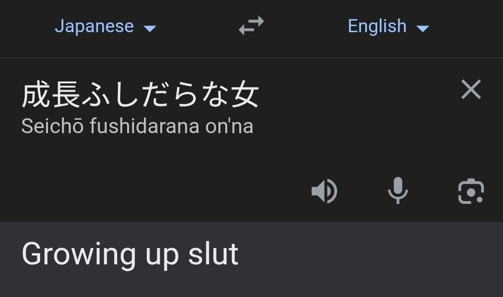 Translation screenshot depicting the Japanese translation of "growth slut" ("seichō fushidarana on'na") being translated back into English ("Growing up slut").