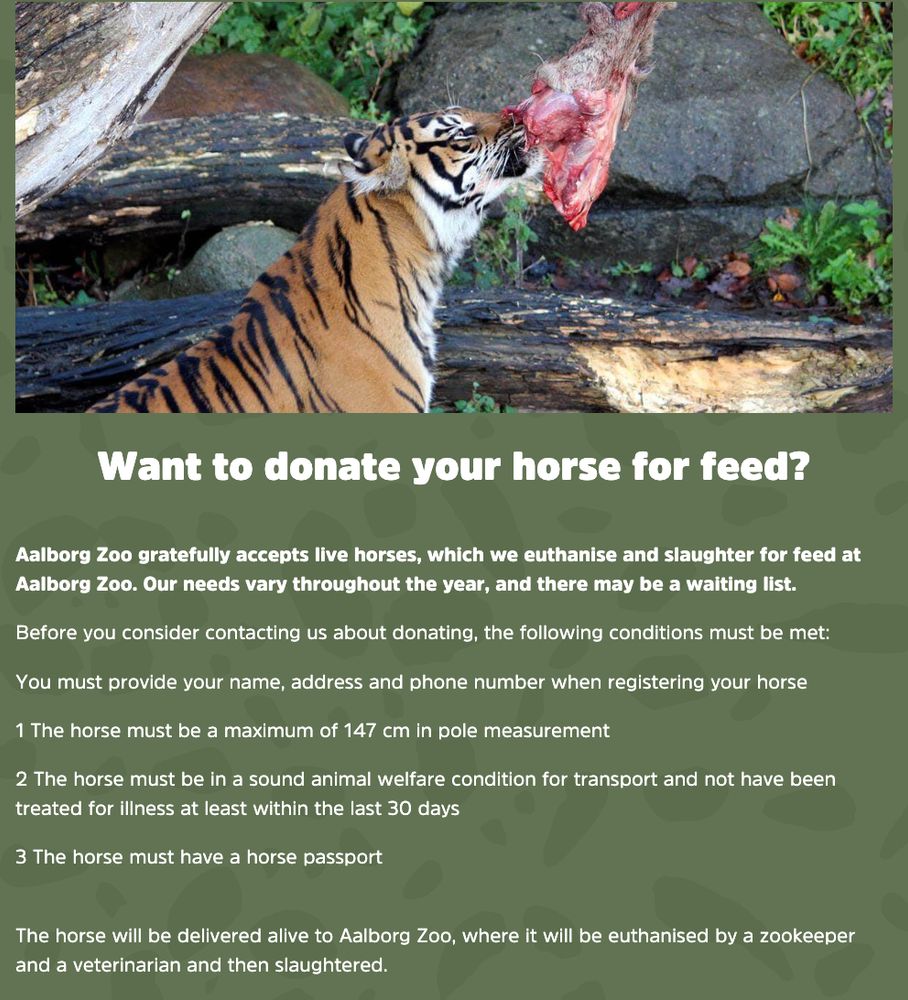 Want to donate your horse for feed?
Aalborg Zoo gratefully accepts live horses, which we euthanise and slaughter for feed at Aalborg Zoo. Our needs vary throughout the year, and there may be a waiting list.

Before you consider contacting us about donating, the following conditions must be met:

You must provide your name, address and phone number when registering your horse

1 The horse must be a maximum of 147 cm in pole measurement

2 The horse must be in a sound animal welfare condition for transport and not have been treated for illness at least within the last 30 days

3 The horse must have a horse passport

The horse will be delivered alive to Aalborg Zoo, where it will be euthanised by a zookeeper and a veterinarian and then slaughtered. 