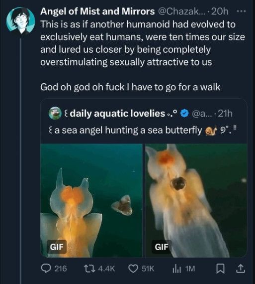 (post from Angel of mist and mirrors)
This is as if another humanoid had evolved exclusively to eat humans, were ten times our size and lured us closer by being completely overstimulating sexually attractive to us

God oh god oh fuck I have to go for a walk