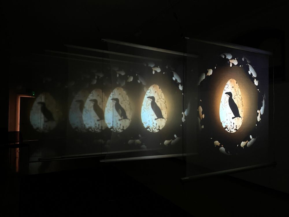 A sequence of upright great auks, a black and white bird depicted in silhouette, are projected within eggs in a darkened room
