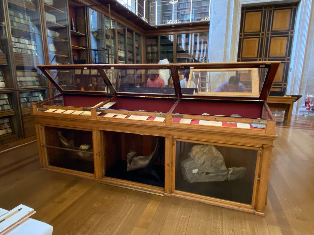 A row of three connected wooden cabinets, with glass panels, the lids open in a wood floored library