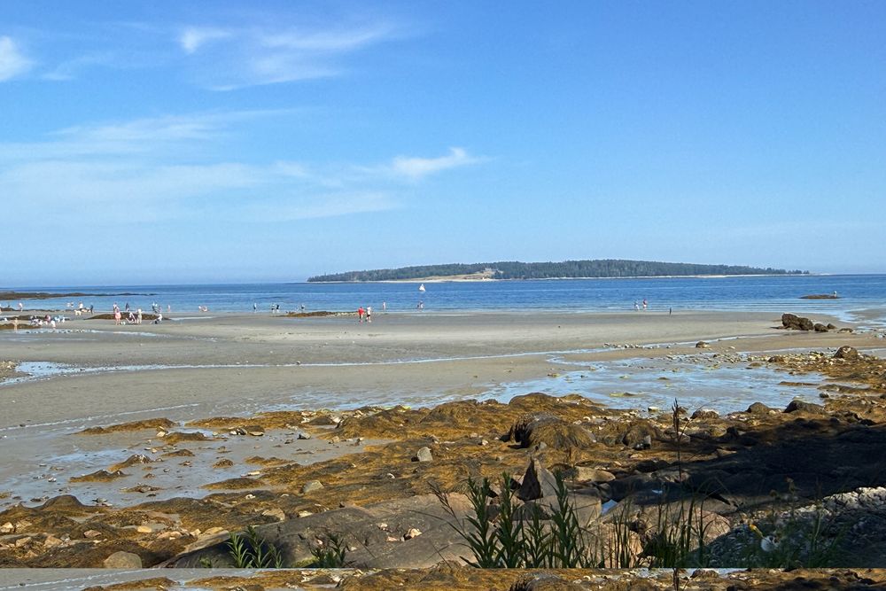 Scenic view of a sandy beach at low tide with scattered beachgoers enjoying the shoreline. The beach features tidal pools and exposed rocky areas with seaweed. In the foreground, weathered rocks and coastal vegetation frame the scene. Across the calm blue water, a forested island or peninsula stretches along the horizon under a partly cloudy sky. Small boats can be seen anchored in the distance, and people are walking and gathering along the water's edge, some appearing to explore the tidal areas.