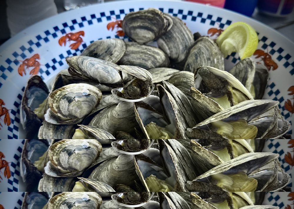 Steamed clams.