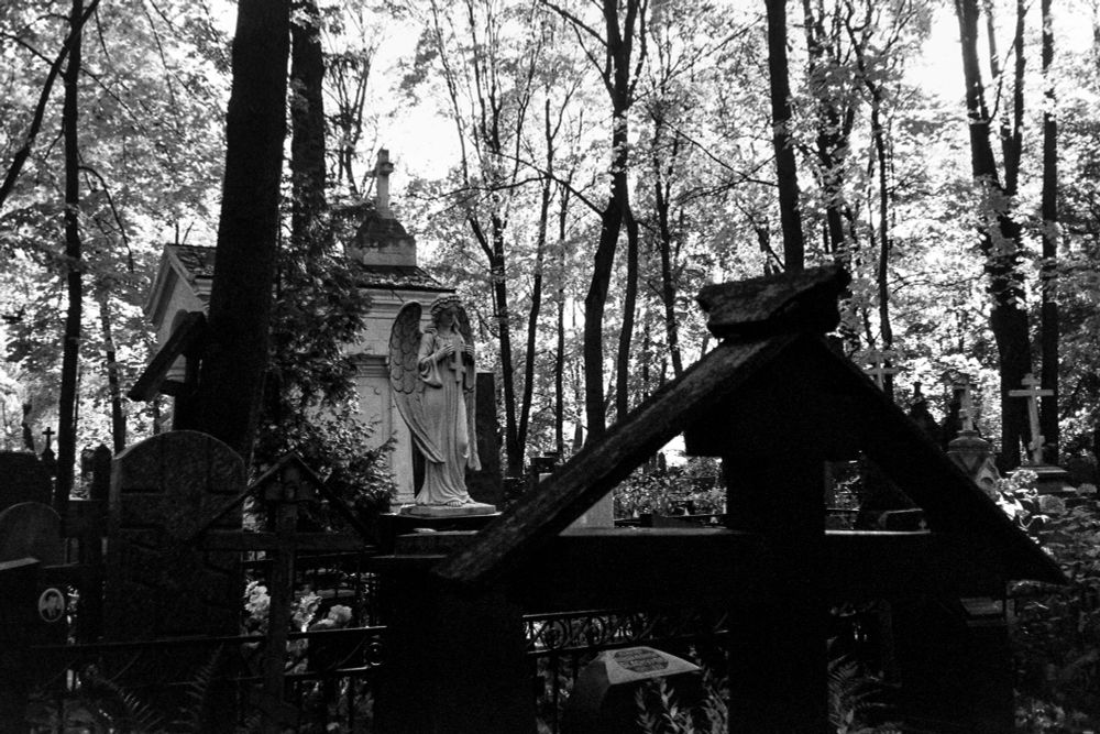 “The necropolis breathes, its breath smells of time” (Ilford PAN 400)
(“Angel Holds Cross—But Heaven’s Door Has No Knob”)

Trees ain’t growin’ here—they’re guardin’ forgotten promises. Angel’s holdin’ a cross, but in his hand’s a clock spring that’ll never stop tickin’. Grave shadows creep like cats, hissin’: “We were alive once—till we became shadows.” And the wind, slitherin’ through the branches, repeats: “Time ain’t a river. It’s a nail hammered into your heart every damn day. Fences and gravestones, worn and new, join in a chorus where every voice is stone. This isn’t just a monument; it’s a stage where eternity takes the lead role.

Angel with the cross, 
forest whispers gothic hymns, 
echoes of autumn.
__
Location: Vvedenskoye Cemetery (Foreign Confessions Cemetery), Lefortovo, Moscow 
Camera: Nikon Lite Touch Zoom 120 ED (AF) (№3431629) 
Film: Ilford PAN 400 (expired, storage unknown, exposed at nominal ISO) 
Development: Kodak D-76 
Scanner: Pakon F235+ (no corrections applied — raw scan) Date: October 15, 2018 (exposure) / August 13, 2022 (scan)

Notes: The film rested in unknown conditions, like a letter without an address. Silver and chemistry entered into dialogue with autumn: grain softened, contrast grew hesitant, tonal shifts carried the flavor of both decay and light. Each frame is less a document than a conversation between time and stone, with chance conducting the score. This roll is not a record but a ritual: emulsion whispering with fallen leaves, shadows rehearsing eternity. Grain softened, contrast bent, tones shifted like voices in a choir of silence. Each frame carries its own autumn, its own stillness, its own stubborn memory.