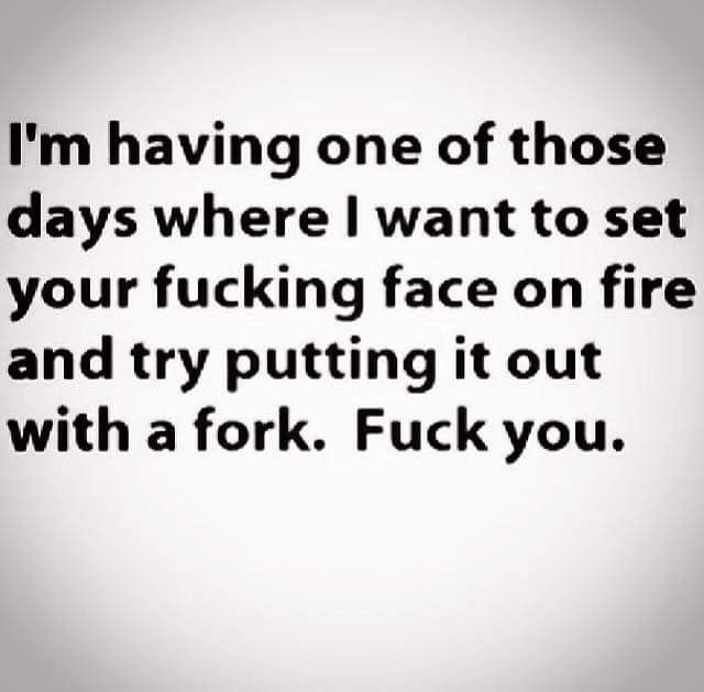 A statement that says I'm having one of those days where I want to set your fucking face on fire and try putting it out with a fork. Fuck you
