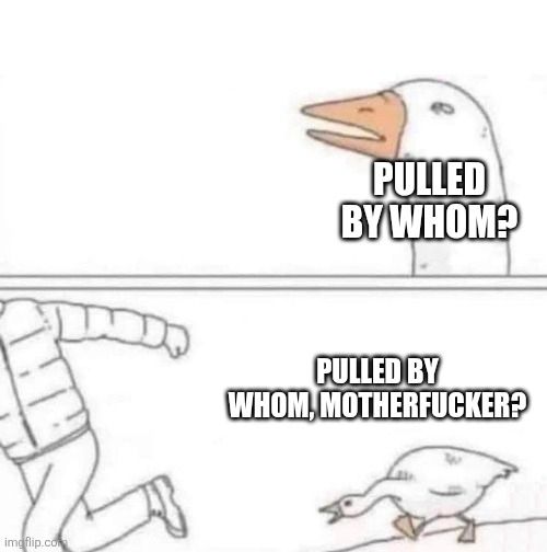The Goose Chase meme with captions "Pulled by whom?" and "Pulled by whom, motherfucker?"