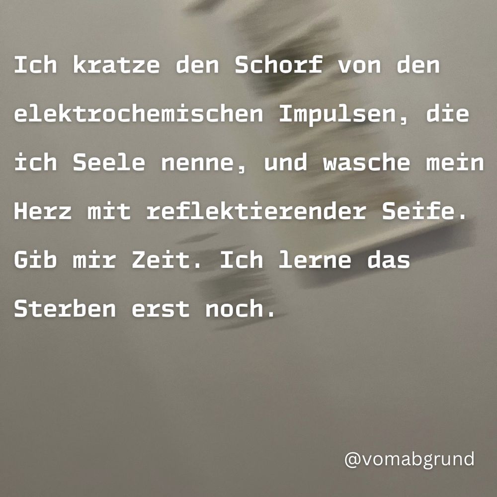 Ich kratze den Schorf von den elektrochemischen Impulsen, die ich Seele nenne, und wasche mein Herz mit reflektierender Seife. Gib mir Zeit. Ich lerne das Sterben erst noch. 

Hintergrund: Durch Bewegung der Kamera verschwommene Aufnahme von schwarzen Textblöcken auf weißer Wand. 