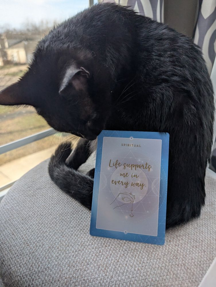 Card with text: Life supports me in every way.