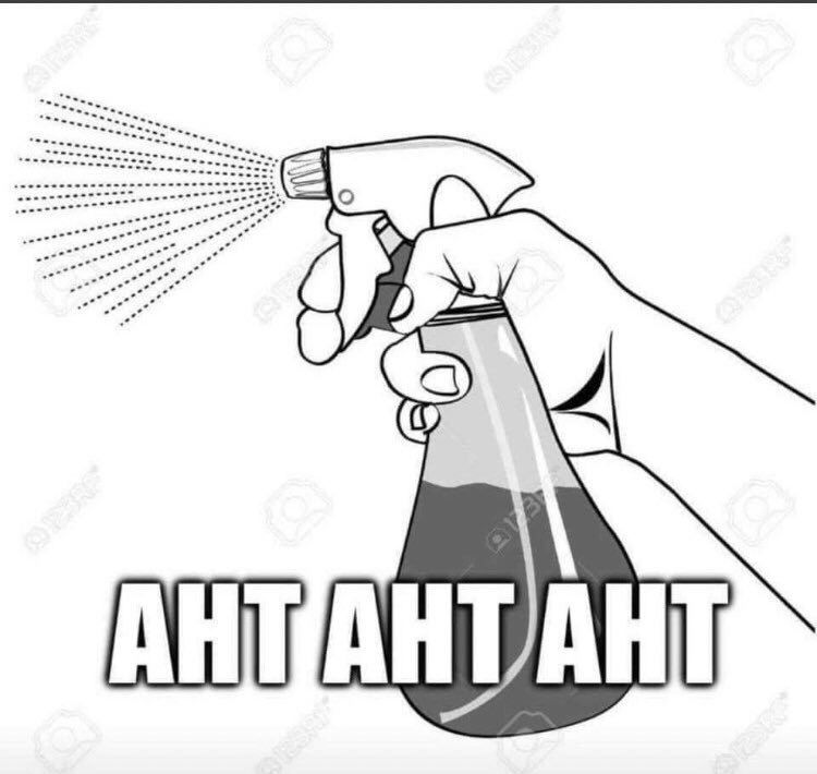 Comment image