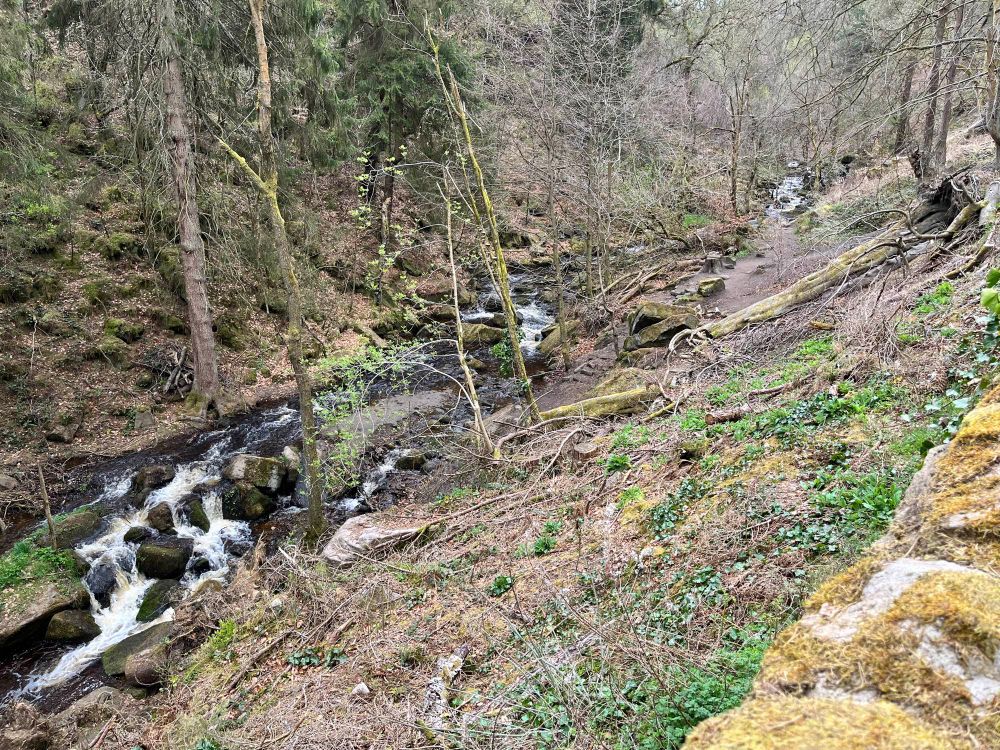 Rivelin valley