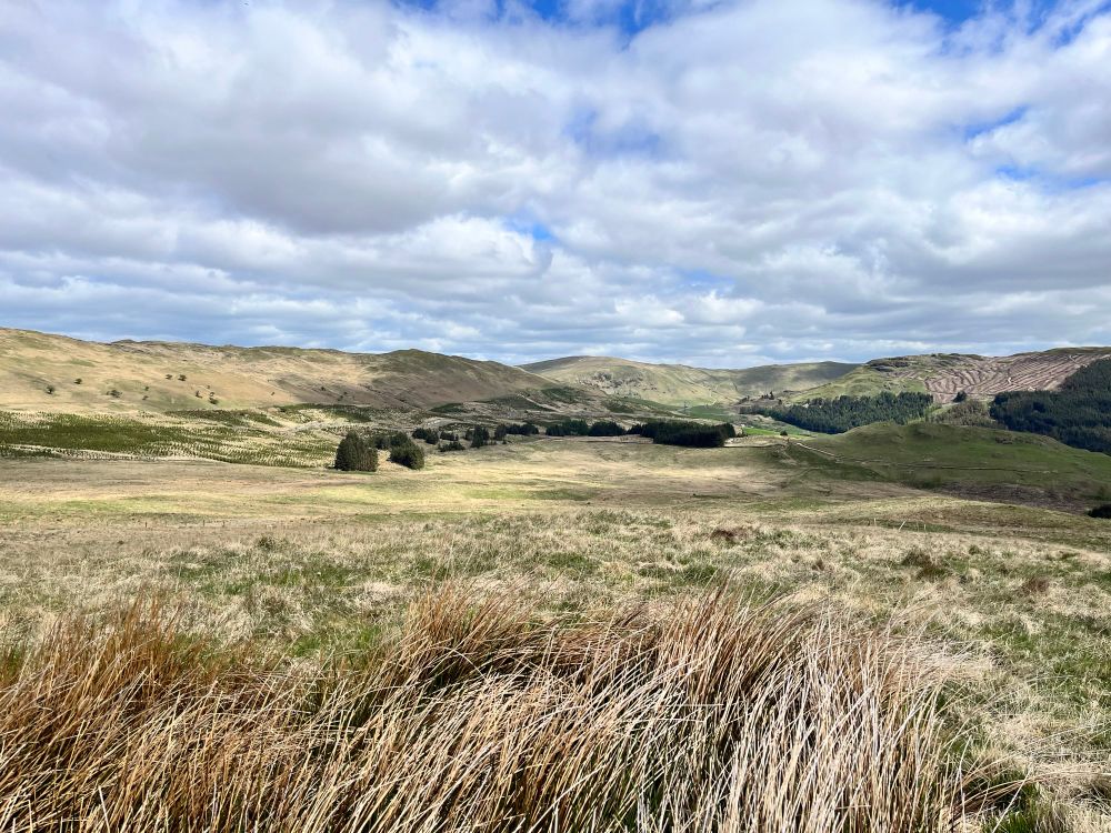 Valley views 