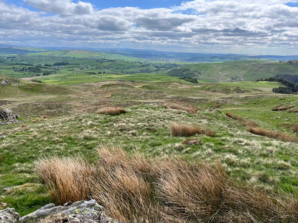 Valley views 