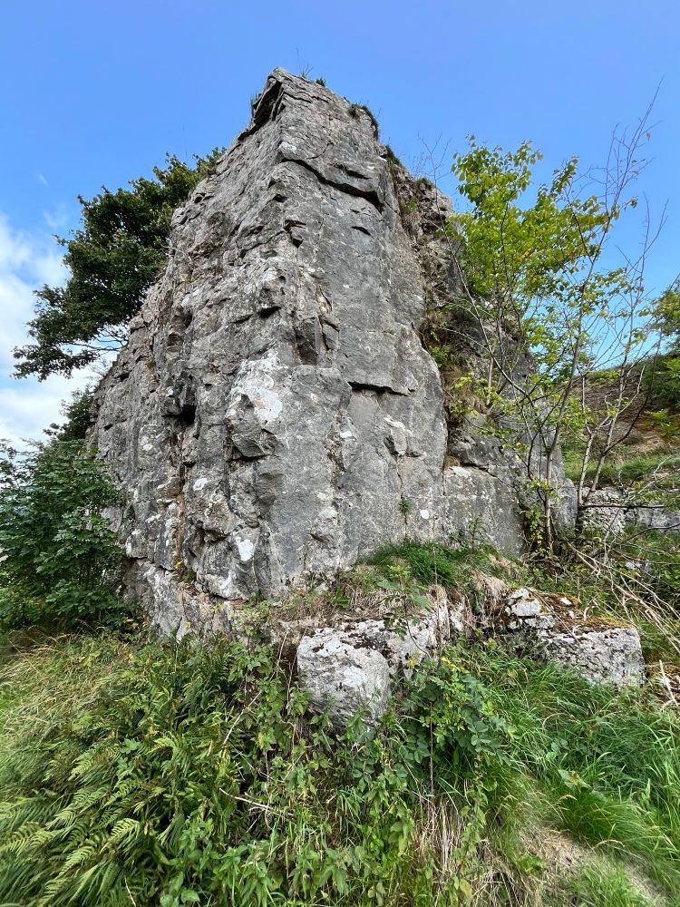 Minninglow Quarry, which once produced limestone. The quarry area is approximately 120 metres long, 40 metres wide and the quarry face is approximately 10 metres high. Quarrying has created a flat shelf stretching for approximately 70 metres along the length of the quarry adjacent to a siding.