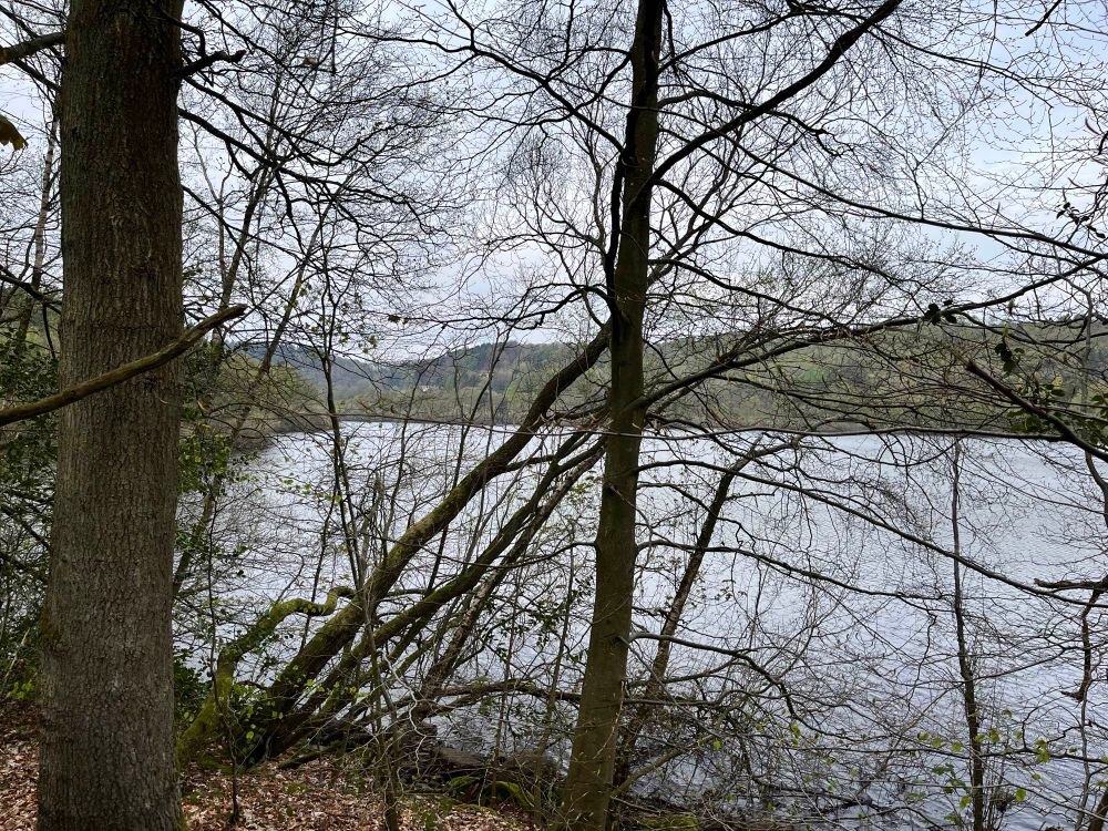 Reservoir view
