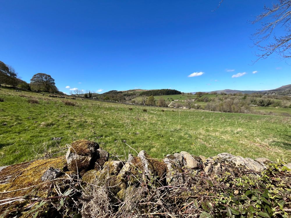Peak District views 