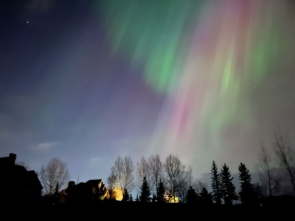 A picture of the Aurora Borealis in the night sky over a silhouetted landscape of houses and trees