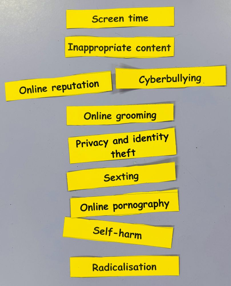 A list of online safety risks