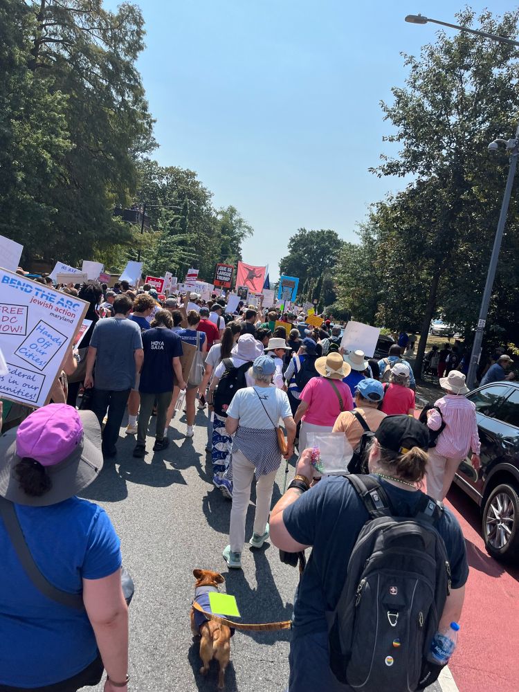 Photo of many people marching and holding signs