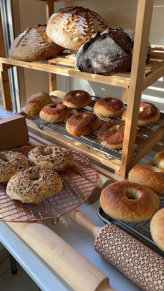 an assortment of sourdough, including cinnamon sugar bagels, everything bagels, bagels brushed with egg wash, bagels brushed with cream, chocolate cherry sourdough and a date walnut loaf