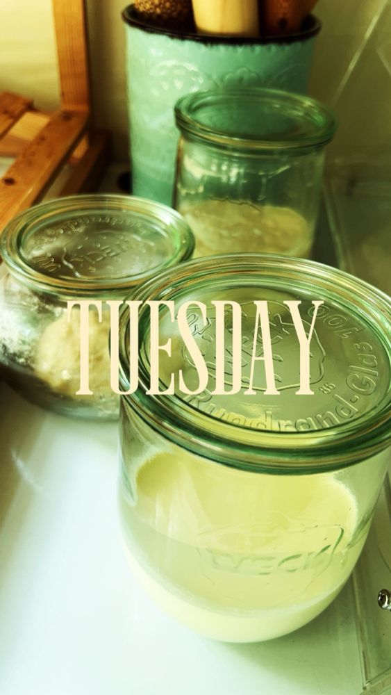 3 glass Weck jars with glass lids sit on a white table top. 
the front jar contains crème fraîche in the making. behind it, the other jars hold fermenting stiff and liquid starter. a mint green utensil holder with wooden kitchen tools is in the background. 
the word “TUESDAY” is overlaid in large, cream-colored text.