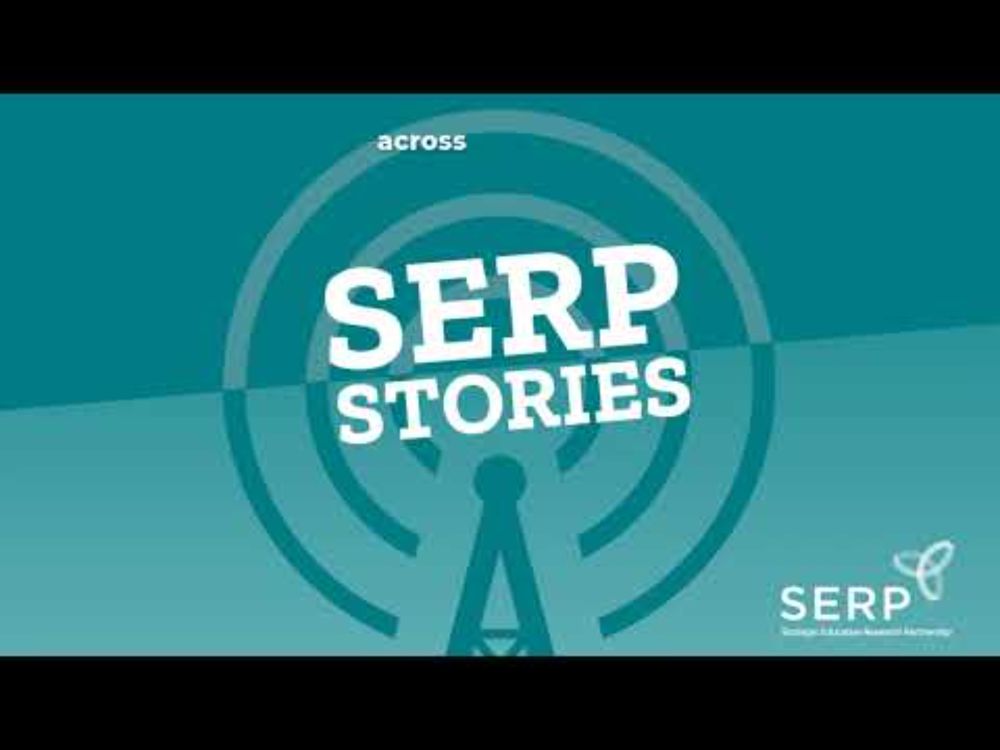 SERP Stories Pilot June2025