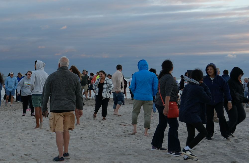 People are laughing after running back from the big waves.