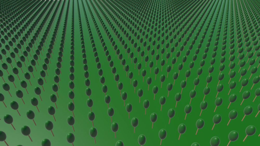 a low poly 3d orchard