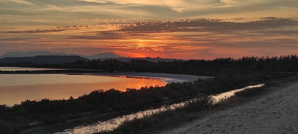 Stagno con canali, tramonto rosso riflesso sull'acqua.